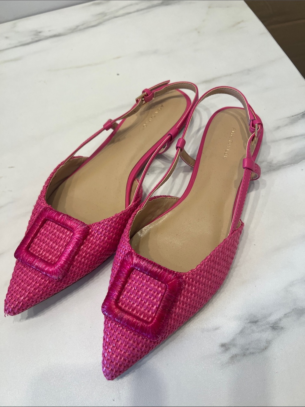 Ann Taylor Hot Pink Woven Pointed Slingback Flats